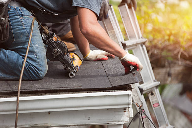 Best Roof Gutter Cleaning  in Lochearn, MD